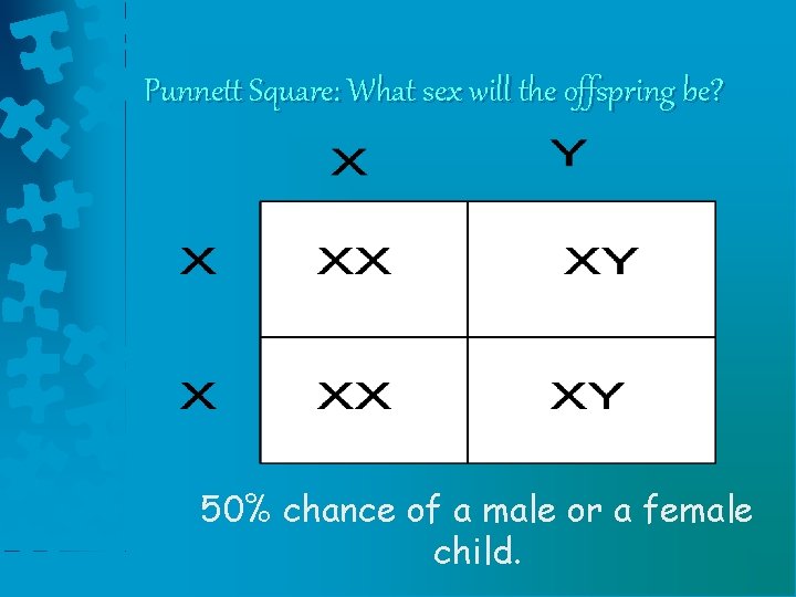 Punnett Square: What sex will the offspring be? 50% chance of a male or