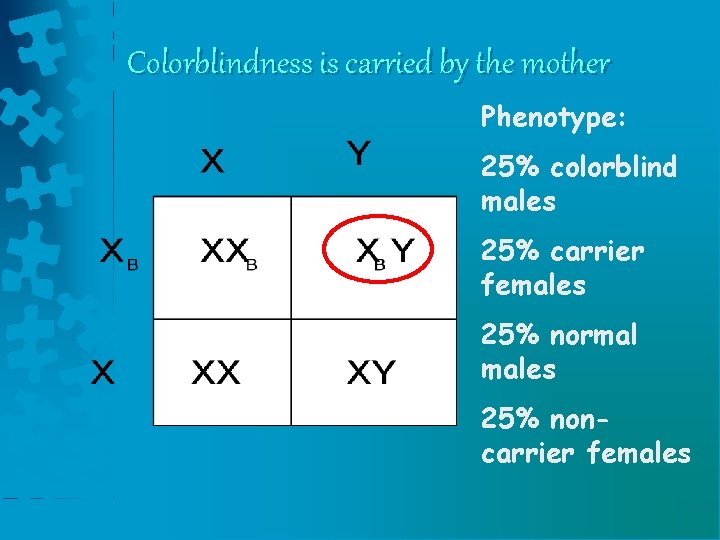 Colorblindness is carried by the mother Phenotype: 25% colorblind males 25% carrier females 25% Colorblindness is carried by the mother Phenotype: 25% colorblind males 25% carrier females 25%