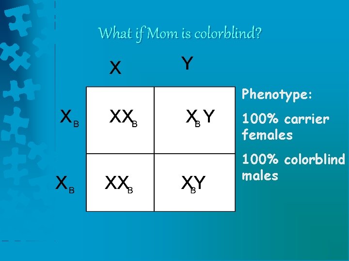 What if Mom is colorblind? Phenotype: 100% carrier females 100% colorblind males What if Mom is colorblind? Phenotype: 100% carrier females 100% colorblind males