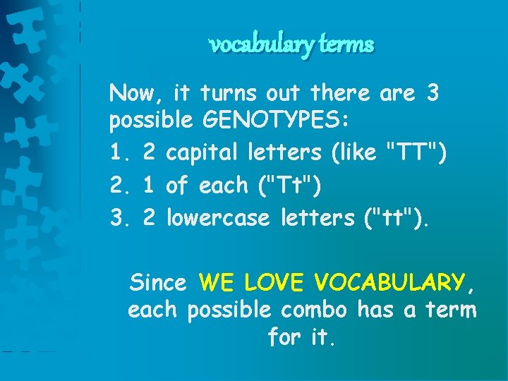 vocabulary terms Now, it turns out there are 3 possible GENOTYPES: 1. 2 capital vocabulary terms Now, it turns out there are 3 possible GENOTYPES: 1. 2 capital