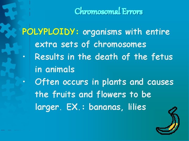 Chromosomal Errors POLYPLOIDY: organisms with entire extra sets of chromosomes • Results in the