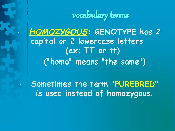 vocabulary terms • • HOMOZYGOUS: GENOTYPE has 2 capital or 2 lowercase letters (ex: