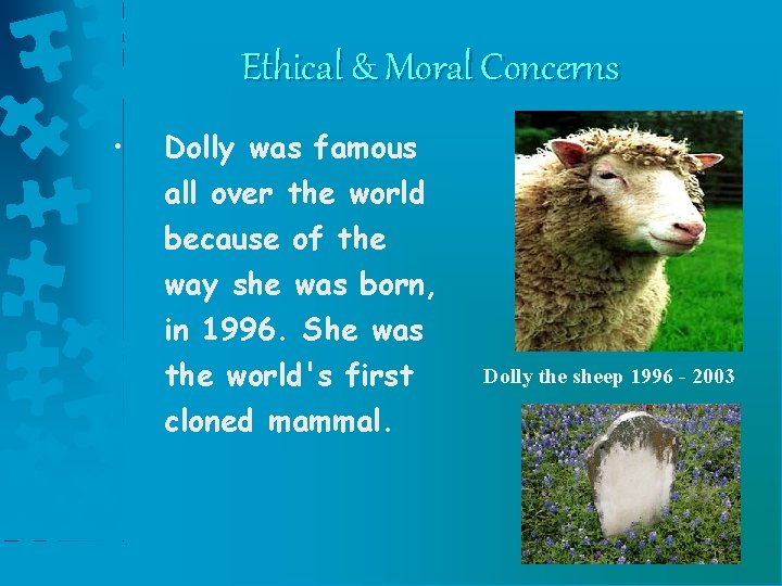 Ethical & Moral Concerns • Dolly was famous all over the world because of