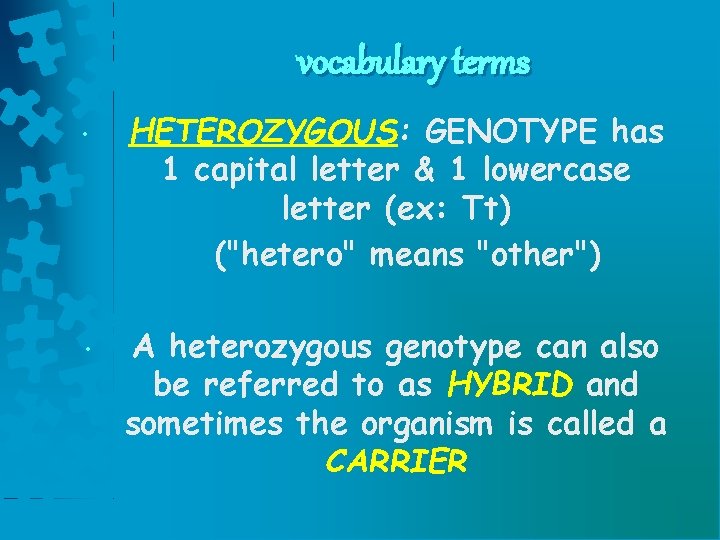 vocabulary terms • • HETEROZYGOUS: GENOTYPE has 1 capital letter & 1 lowercase letter vocabulary terms • • HETEROZYGOUS: GENOTYPE has 1 capital letter & 1 lowercase letter