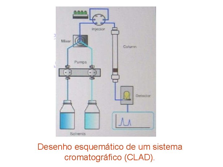 Desenho esquemático de um sistema cromatográfico (CLAD). 