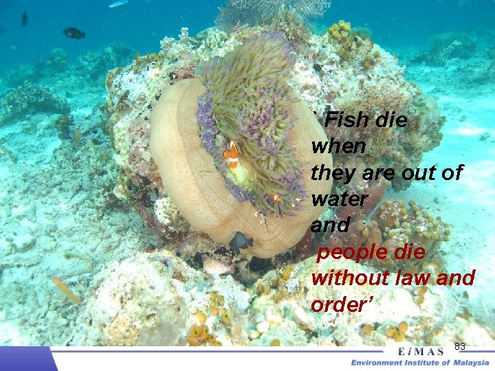 ` Fish die when they are out of water and people die without law