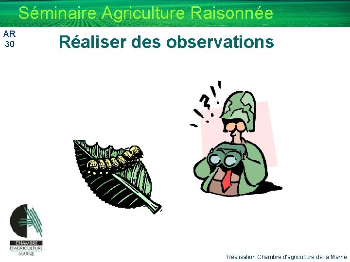 Séminaire Agriculture Raisonnée AR 30 Réaliser des observations Réalisation Chambre d’agriculture de la Marne