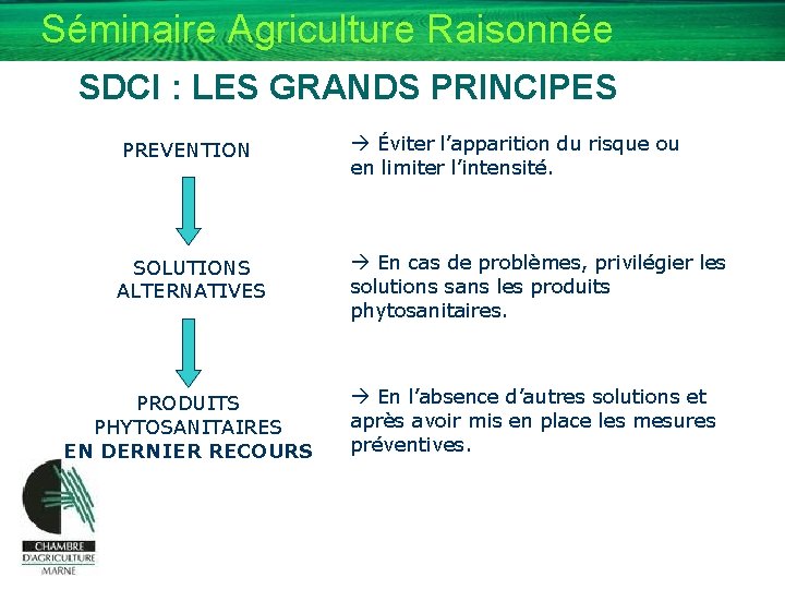 Séminaire Agriculture Raisonnée SDCI : LES GRANDS PRINCIPES PREVENTION Éviter l’apparition du risque ou