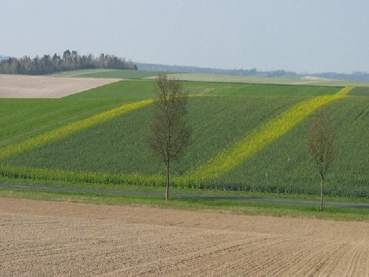 Séminaire Agriculture Raisonnée 