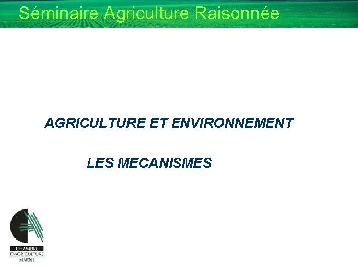 Séminaire Agriculture Raisonnée AGRICULTURE ET ENVIRONNEMENT LES MECANISMES 