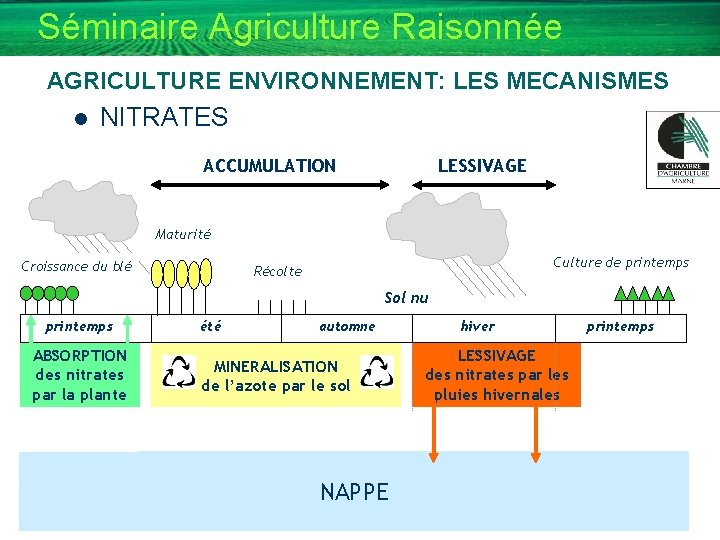 Séminaire Agriculture Raisonnée AGRICULTURE ENVIRONNEMENT: LES MECANISMES l NITRATES ACCUMULATION LESSIVAGE Maturité Croissance du