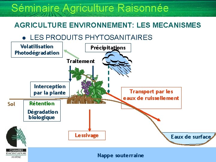 Séminaire Agriculture Raisonnée AGRICULTURE ENVIRONNEMENT: LES MECANISMES l LES PRODUITS PHYTOSANITAIRES Volatilisation Photodégradation Précipitations