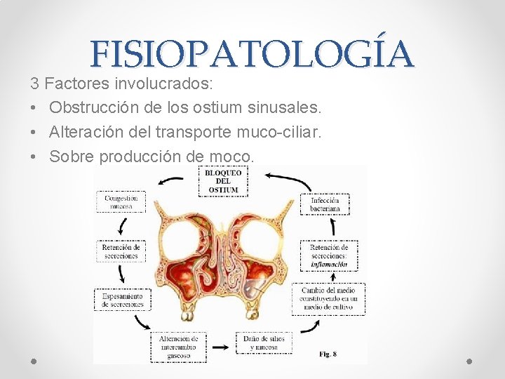 FISIOPATOLOGÍA 3 Factores involucrados: • Obstrucción de los ostium sinusales. • Alteración del transporte