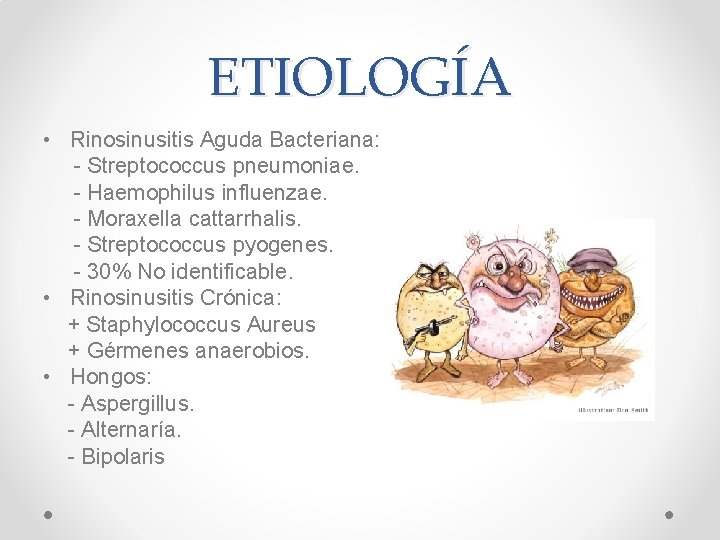 ETIOLOGÍA • Rinosinusitis Aguda Bacteriana: - Streptococcus pneumoniae. - Haemophilus influenzae. - Moraxella cattarrhalis.