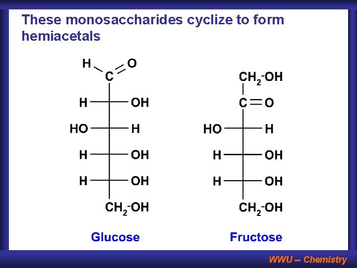 These monosaccharides cyclize to form hemiacetals WWU -- Chemistry 