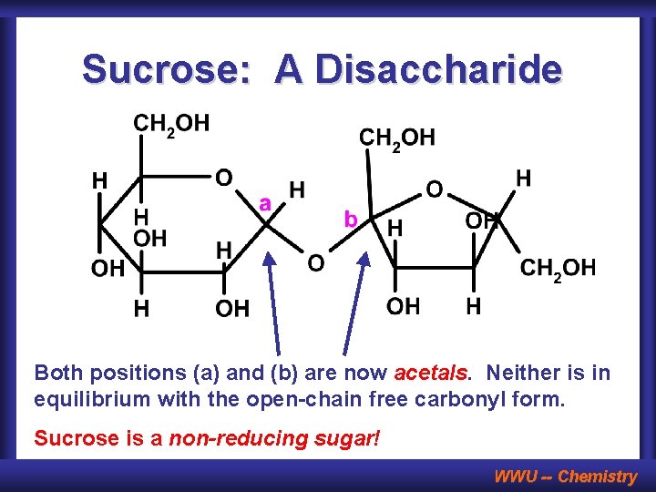 Sucrose: A Disaccharide Both positions (a) and (b) are now acetals. Neither is in