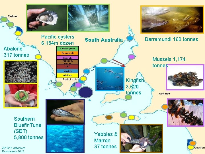 What is aquaculture in SA? Pacific oysters 6, 154 m dozen Abalone 317 tonnes