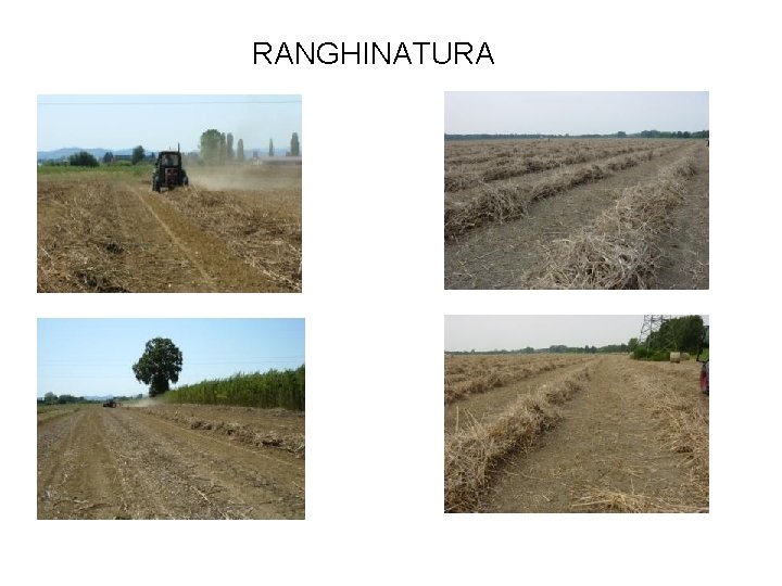 RANGHINATURA 