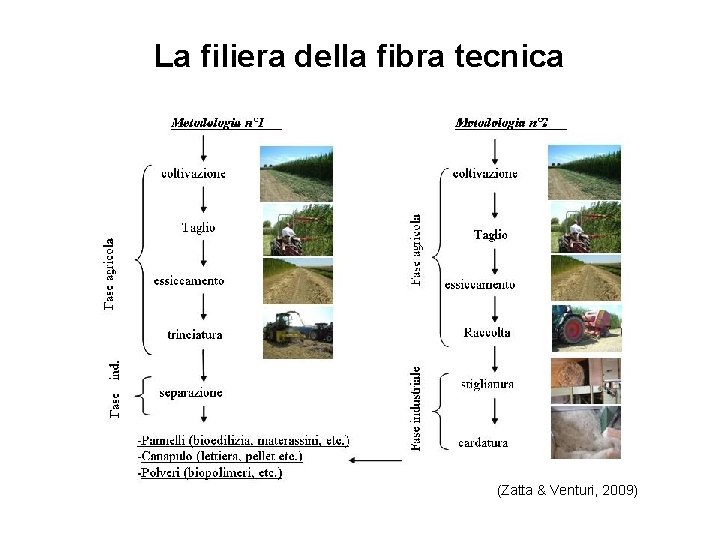 La filiera della fibra tecnica (Zatta & Venturi, 2009) 