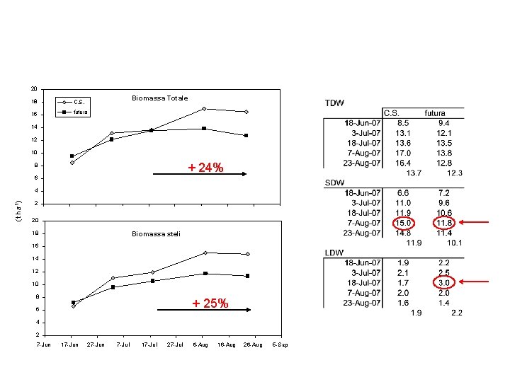 20 Biomassa Totale 18 C. S. 16 futura 14 12 10 + 24% 8