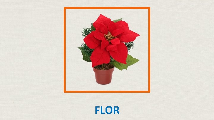 FLOR 