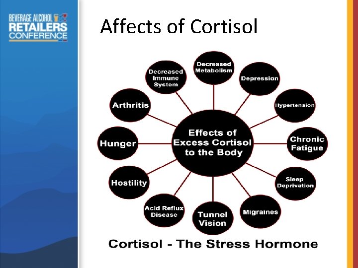 Affects of Cortisol 