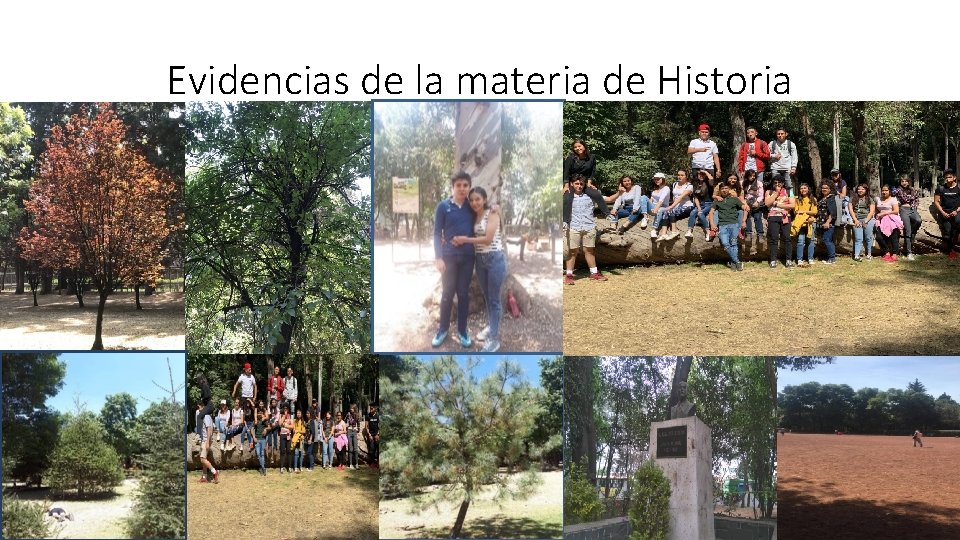 Evidencias de la materia de Historia 