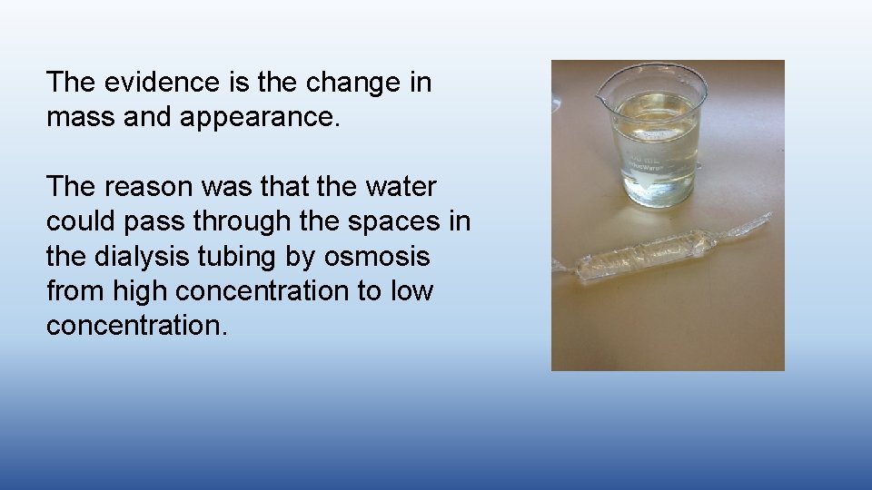 The evidence is the change in mass and appearance. The reason was that the The evidence is the change in mass and appearance. The reason was that the