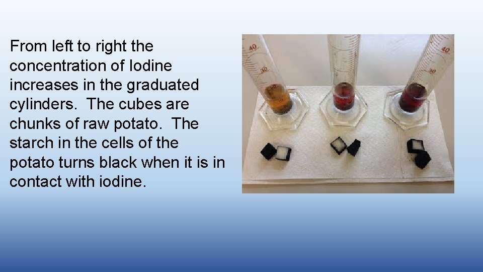 From left to right the concentration of Iodine increases in the graduated cylinders. The