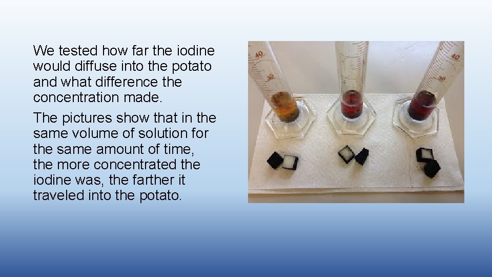 We tested how far the iodine would diffuse into the potato and what difference