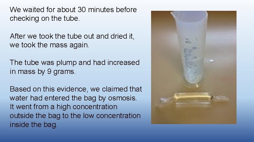 We waited for about 30 minutes before checking on the tube. After we took We waited for about 30 minutes before checking on the tube. After we took