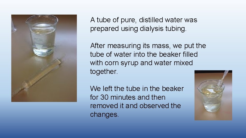 A tube of pure, distilled water was prepared using dialysis tubing. After measuring its