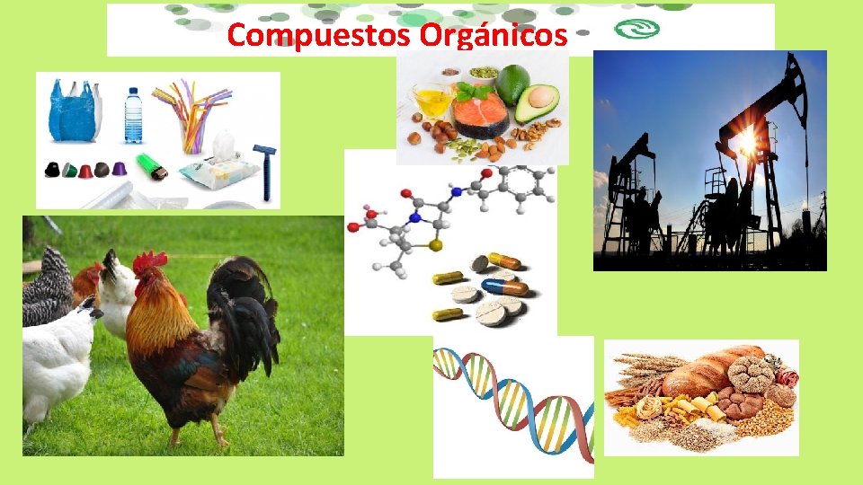 Compuestos Orgánicos 