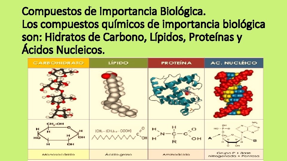 Compuestos de Importancia Biológica. Los compuestos químicos de importancia biológica son: Hidratos de Carbono,