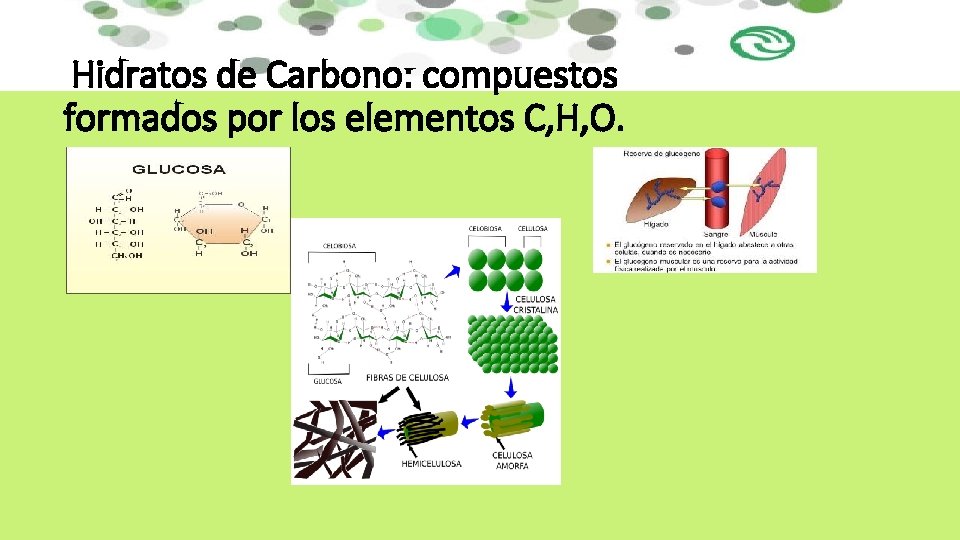 Hidratos de Carbono: compuestos formados por los elementos C, H, O. 