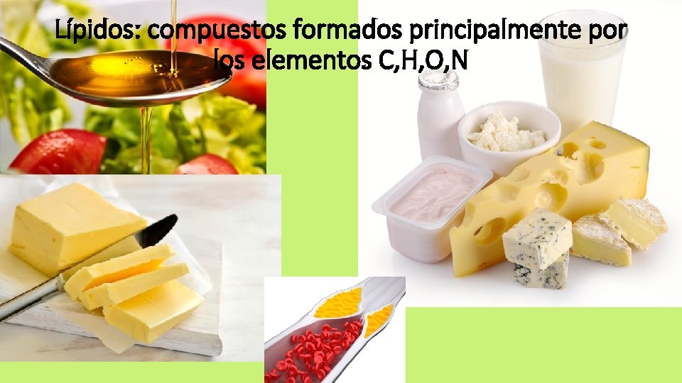 Lípidos: compuestos formados principalmente por los elementos C, H, O, N 