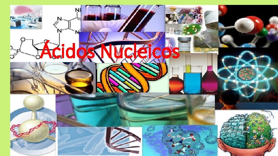 Ácidos Nucleicos 