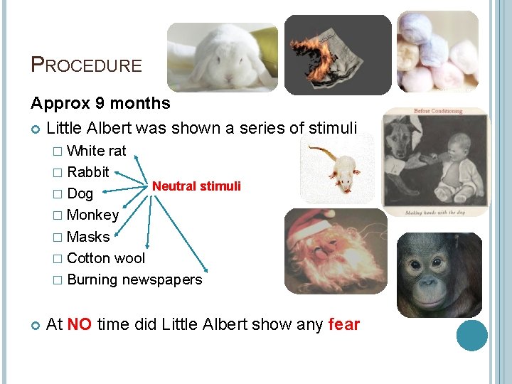 PROCEDURE Approx 9 months Little Albert was shown a series of stimuli � White