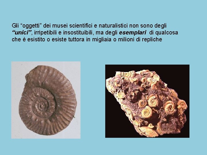 Gli “oggetti” dei musei scientifici e naturalistici non sono degli “unici”, irripetibili e insostituibili, Gli “oggetti” dei musei scientifici e naturalistici non sono degli “unici”, irripetibili e insostituibili,