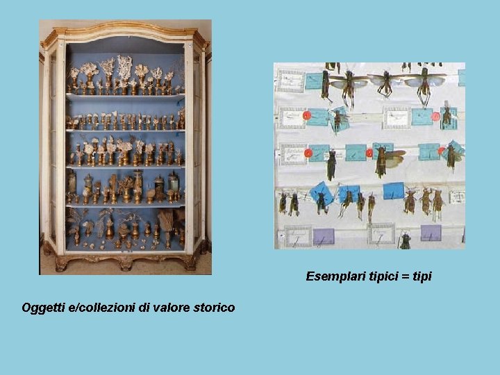 Esemplari tipici = tipi Oggetti e/collezioni di valore storico Esemplari tipici = tipi Oggetti e/collezioni di valore storico