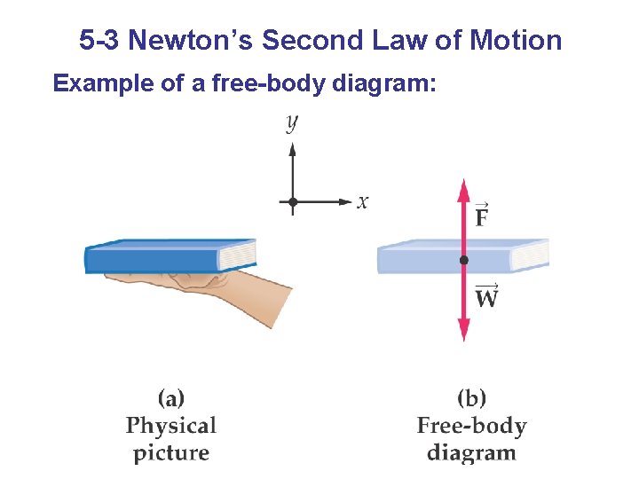 5 -3 Newton’s Second Law of Motion Example of a free-body diagram: 