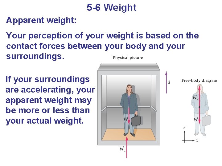 5 -6 Weight Apparent weight: Your perception of your weight is based on the