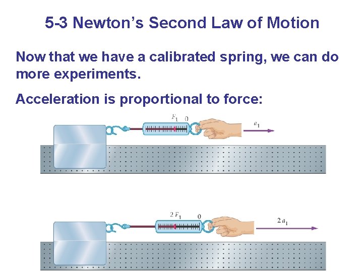 5 -3 Newton’s Second Law of Motion Now that we have a calibrated spring,