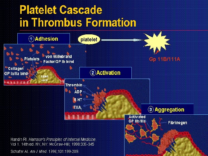 platelet Gp 11 B/111 A platelet Gp 11 B/111 A