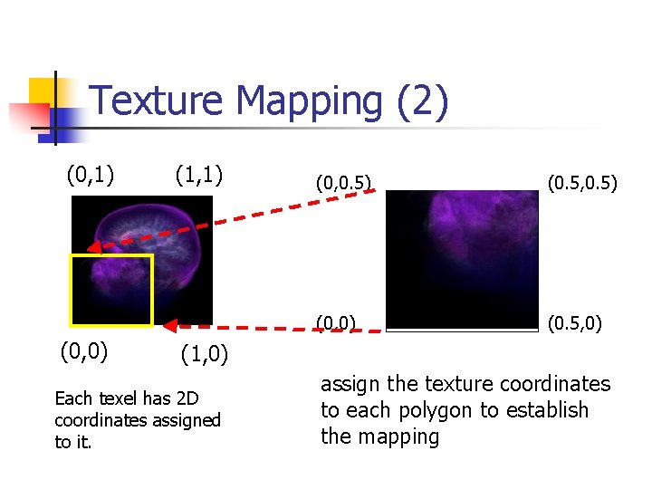 Texture Mapping (2) (0, 1) (0, 0) (1, 1) (0, 0. 5) (0. 5,