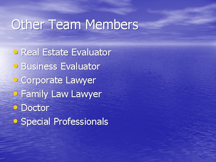Other Team Members • Real Estate Evaluator • Business Evaluator • Corporate Lawyer •