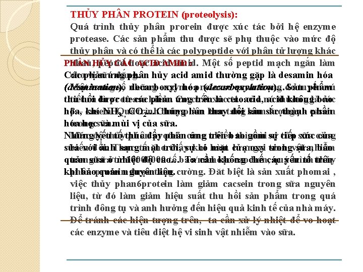 THỦY PH N PROTEIN (proteolysis): Quá trình thủy phân prorein được xúc tác bởi