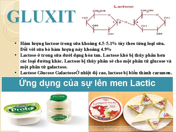 GLUXIT • Hàm lượng lactose trong sữa khoảng 4. 5 -5. 1% tùy theo