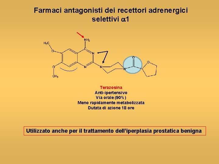 Farmaci antagonisti dei recettori adrenergici selettivi a 1 Terazosina Anti-ipertensivo Via orale (90%) Meno