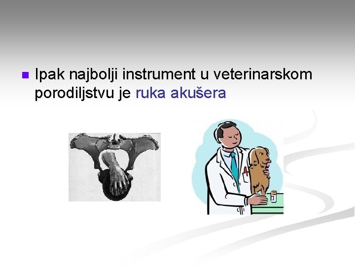 n Ipak najbolji instrument u veterinarskom porodiljstvu je ruka akušera 